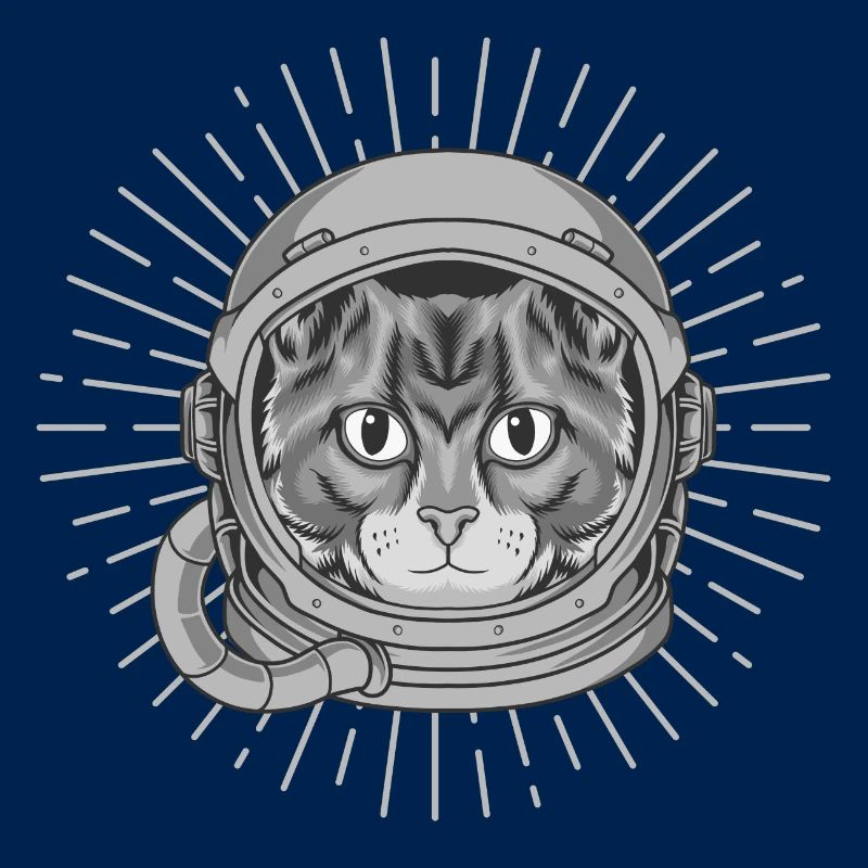 Katze Raumfahrer