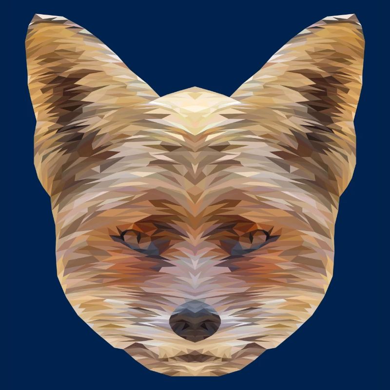Fox Polygon