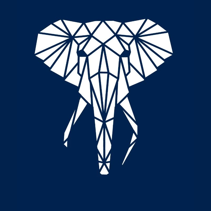 Geometric Elephant