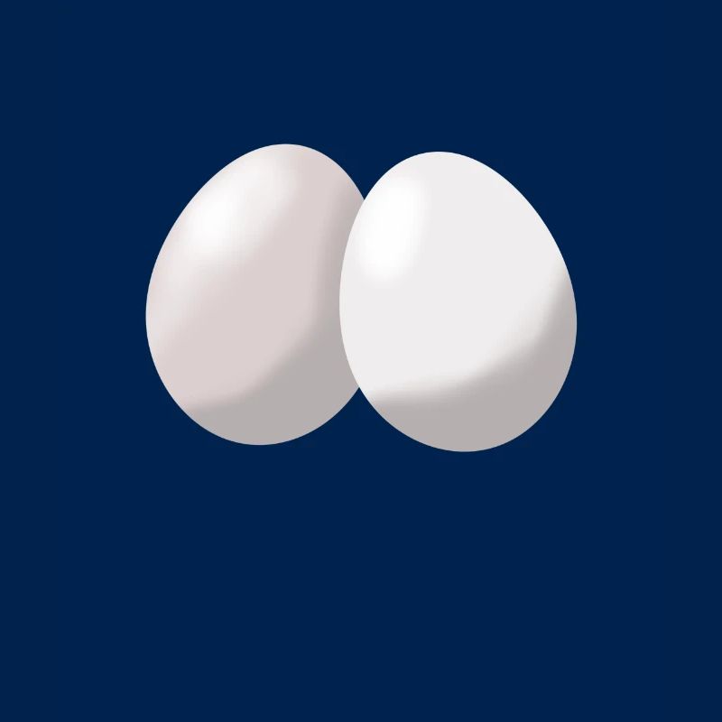 Eier