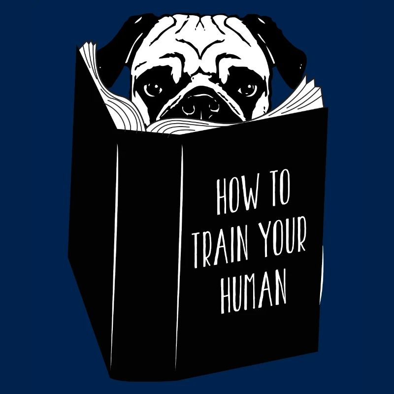Mops Hund