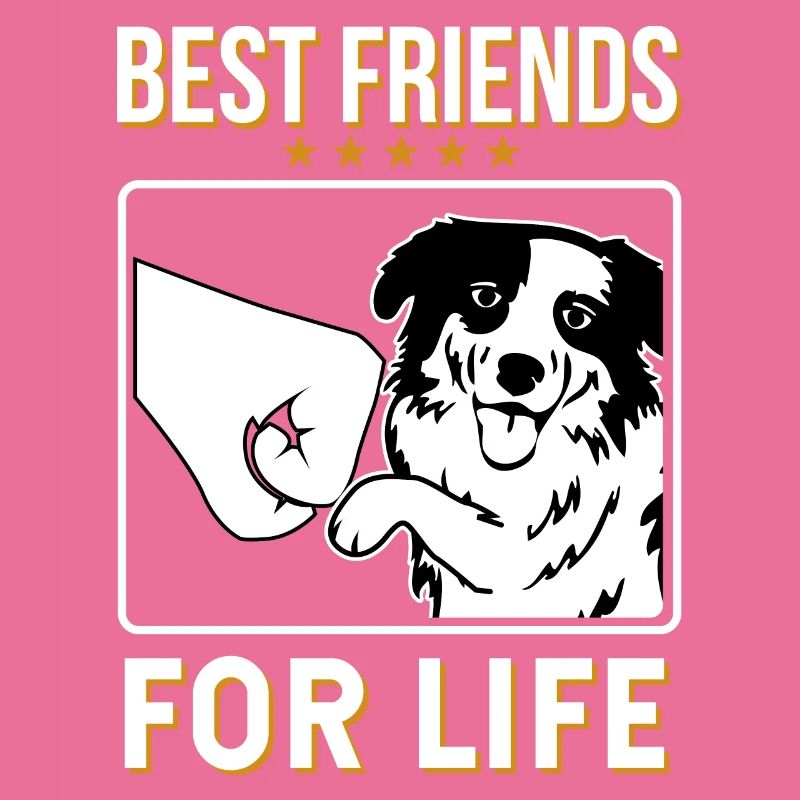 Australian Shepherd
