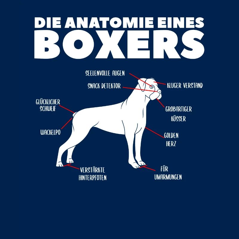 Die Anatomie Eines Boxers Hundebesitzer Deutscher