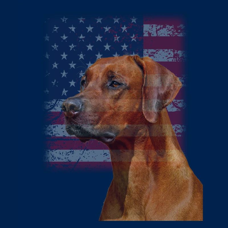 Rhodesian Ridgeback
