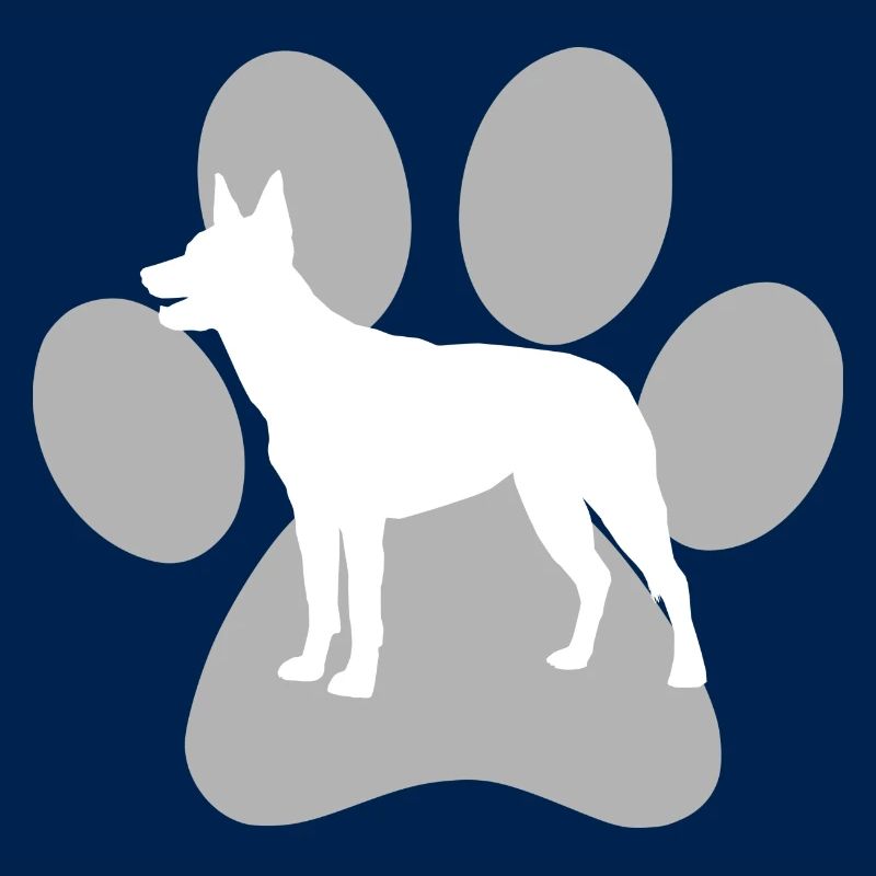 Australian Kelpie