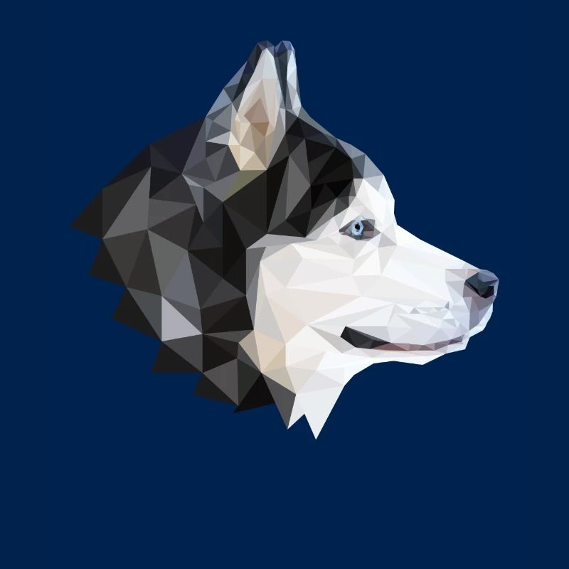 Hund Husky Polygon