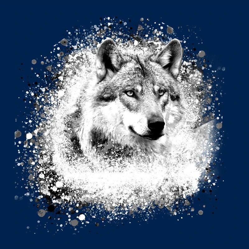 wolf,grau,hund, schäferhund,Hund, malerei,graffiti