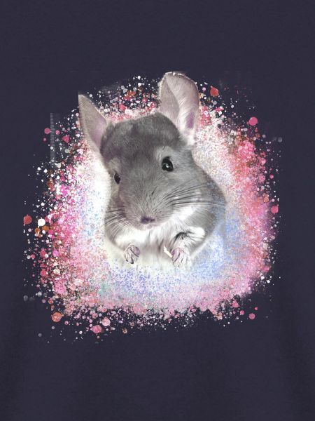 chinchilla,graffiti,malerei,angora kaninchen