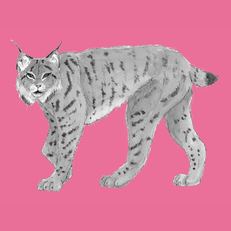 Lynxbw