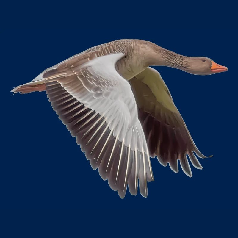 Gans