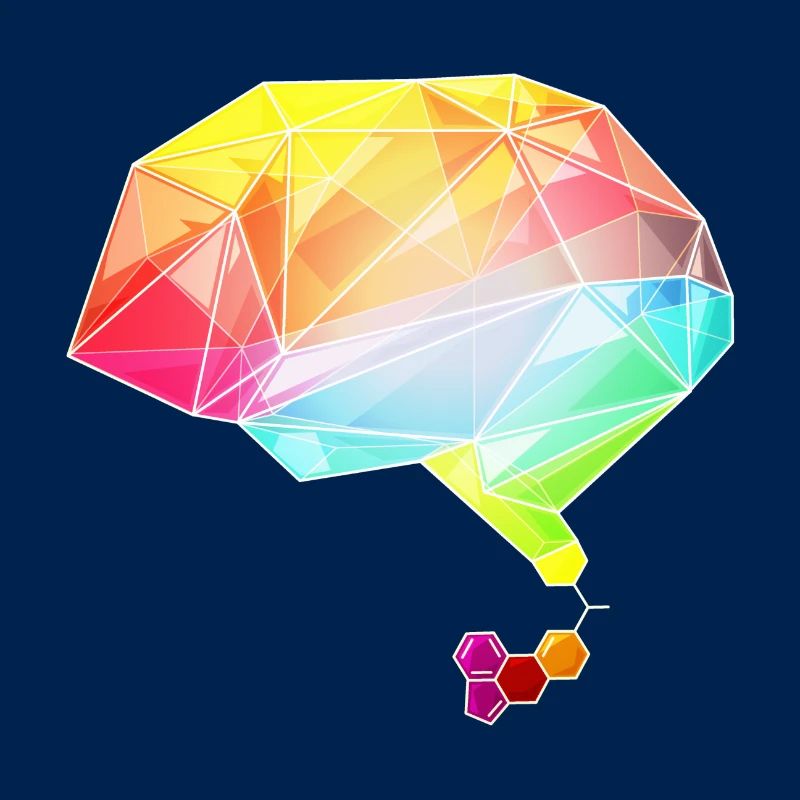 lsd brain