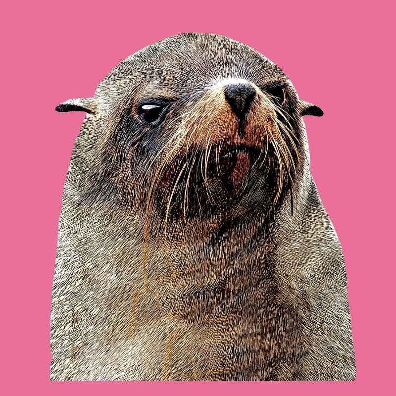 Seelöwe