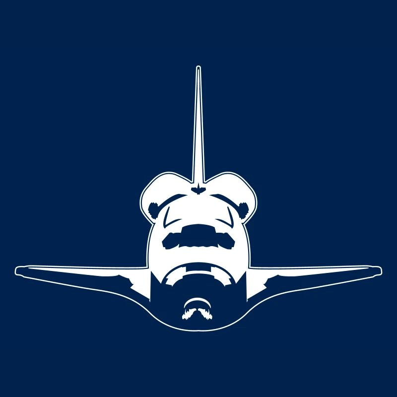 Space Shuttle