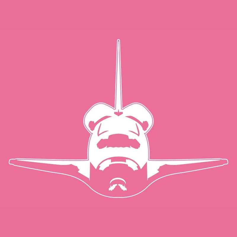 Space Shuttle
