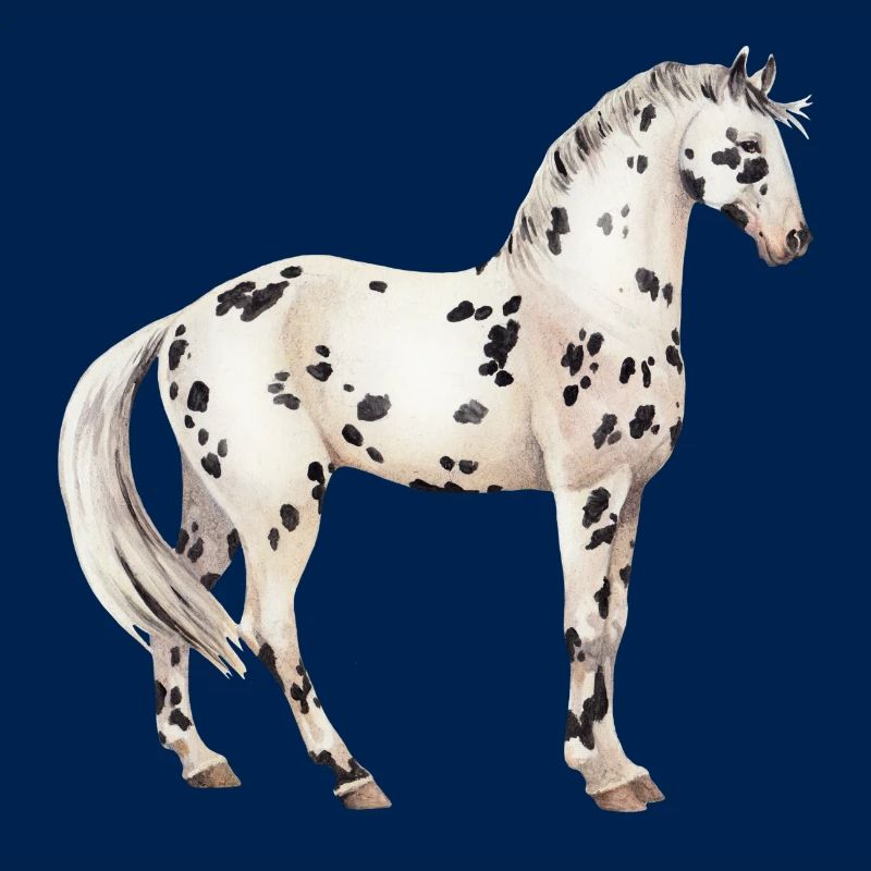 Knabstrupper