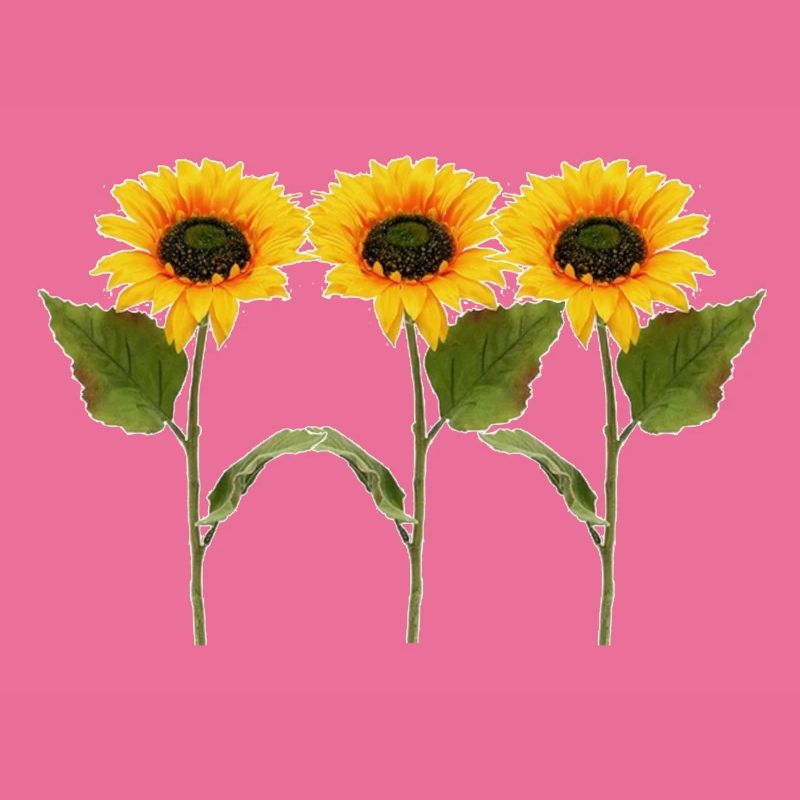 Drei Sonnenblumen