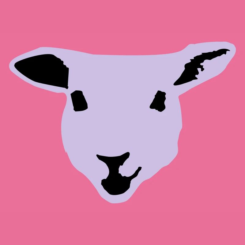 sheep, lamb
