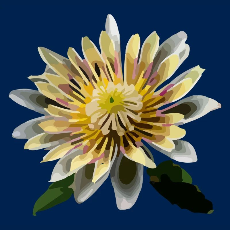 La fleur de nénuphar