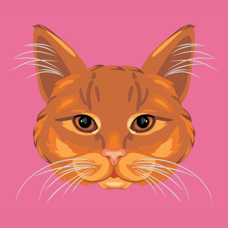 Ingwer Katzenkopf