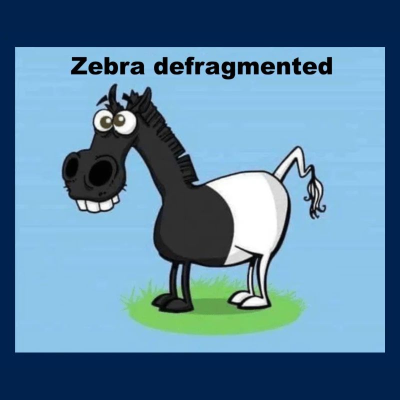 Zebra defragmented