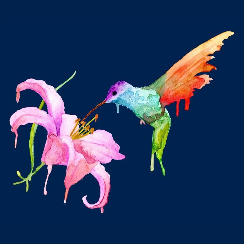 Kolibri