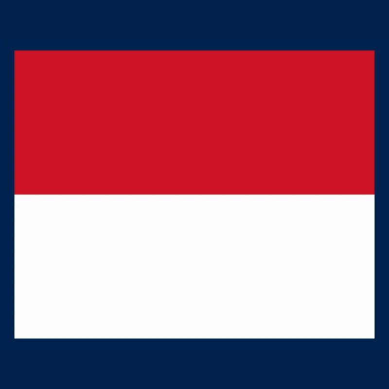 Monaco flag / Drapeau Monaco