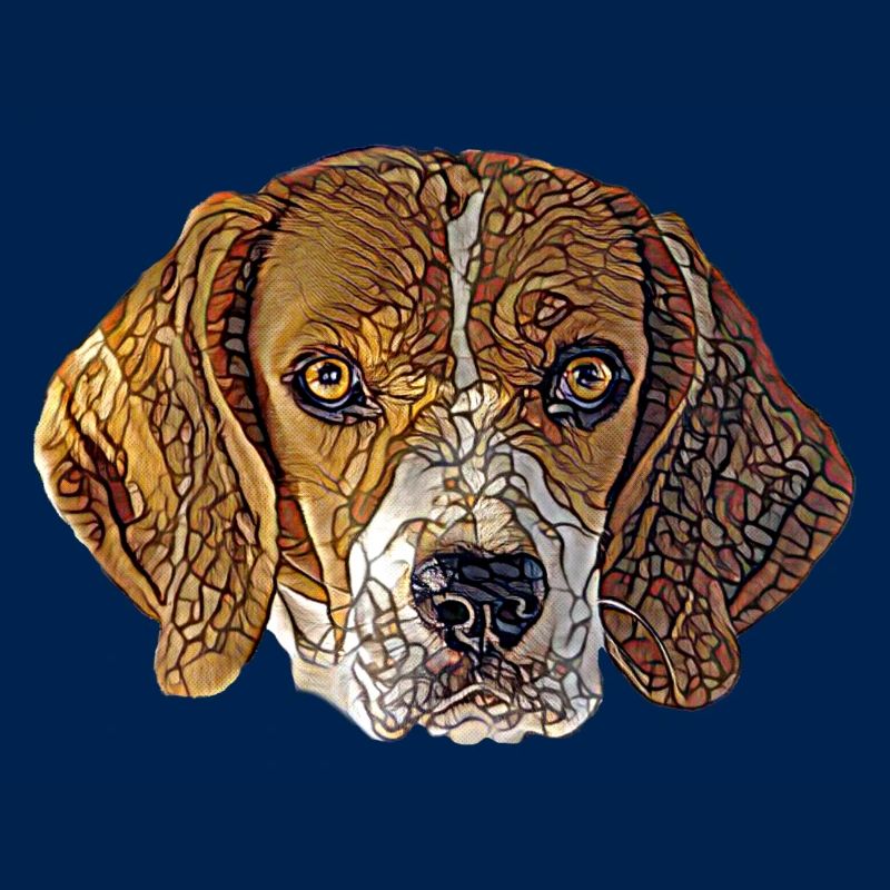 Beagle Gesicht
