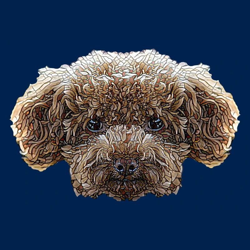 Visage de caniche jouet