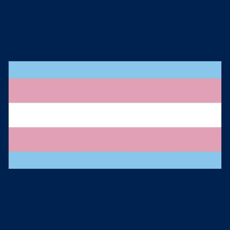 trans pride