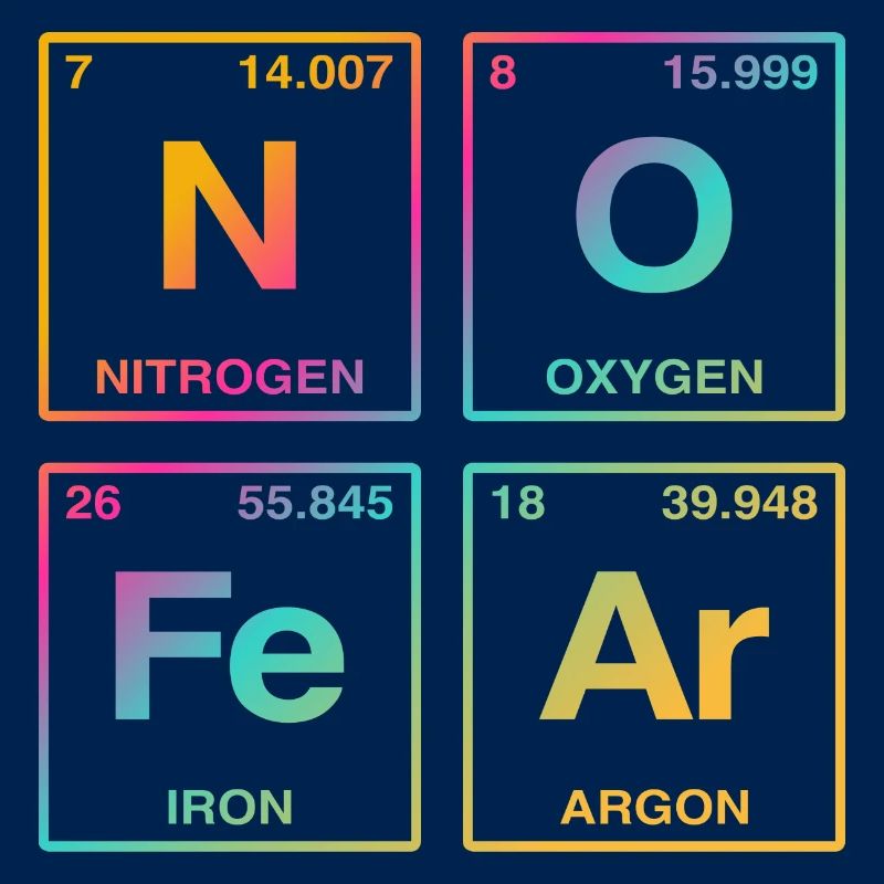 NO FEAR - avec des éléments du système de perdiode