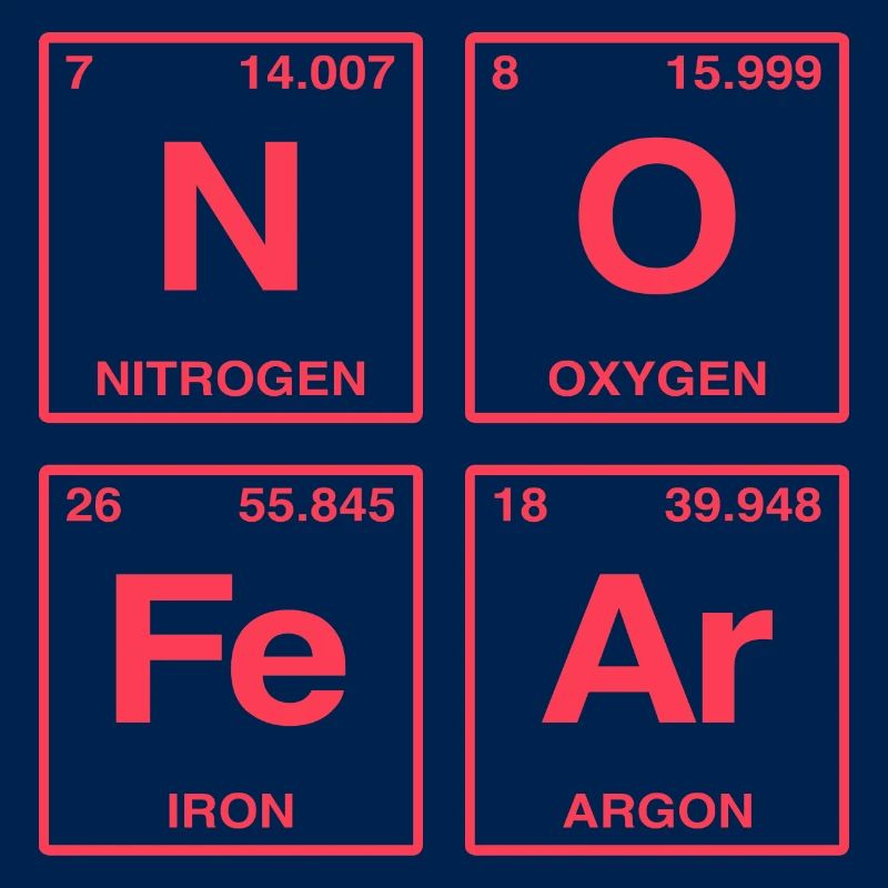 NO FEAR - avec des éléments du système de perdiode