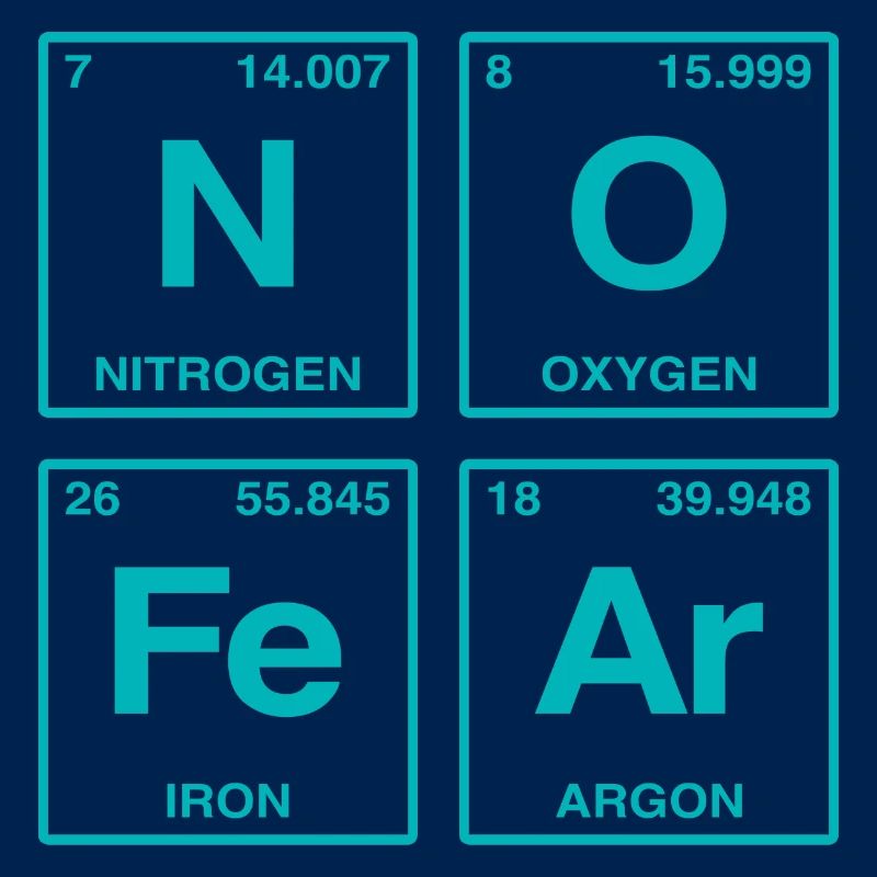 NO FEAR - avec des éléments du système de perdiode