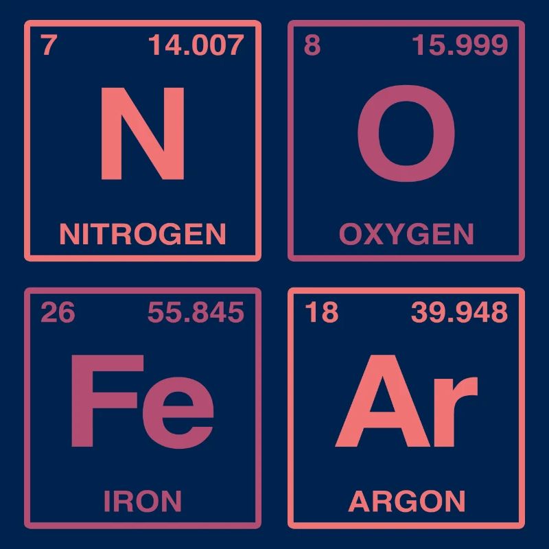 NO FEAR - avec des éléments du système de perdiode