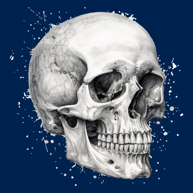 Bleistift-Totenkopf
