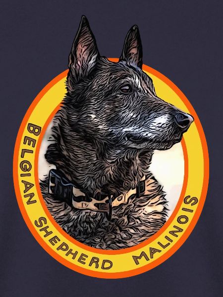 Belgischer Schäferhund Malinois schwarz