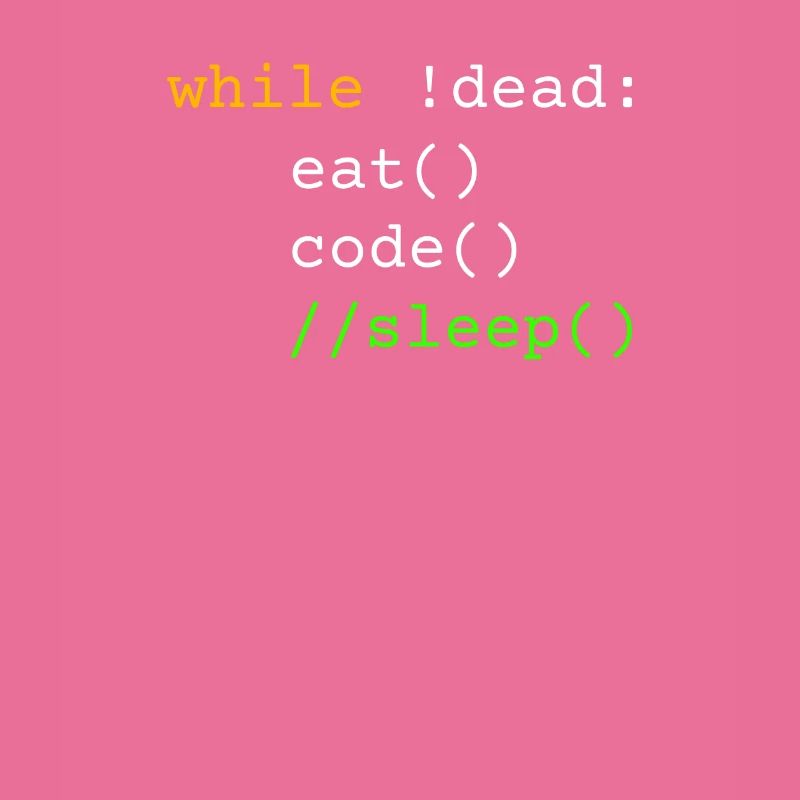 Programmierer Geschenk