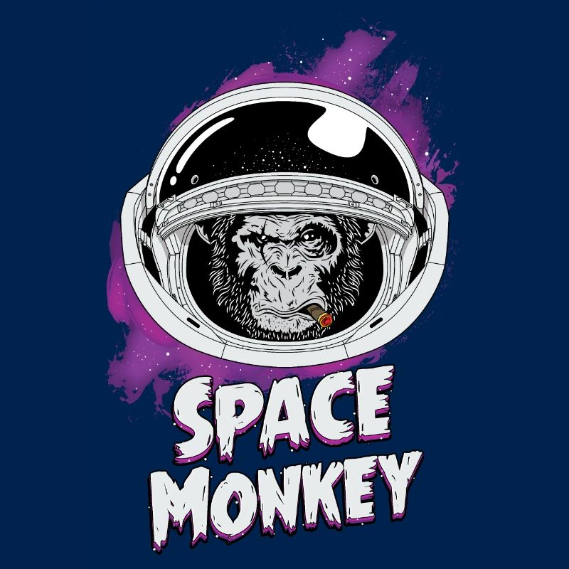 Singe de l'espace vintage