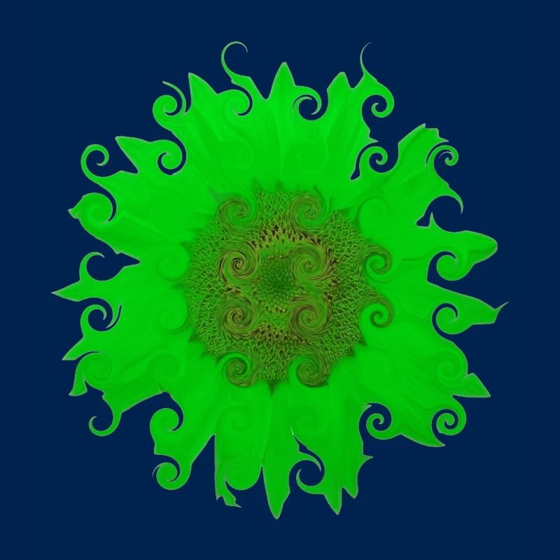 Sonnenblume