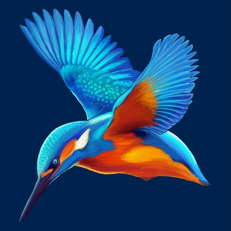 Eisvogel Isfugl