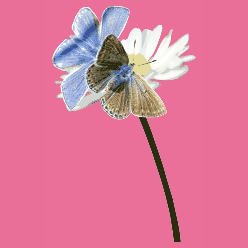 Zwei Bläuling Schmetterlinge auf einer Blüte