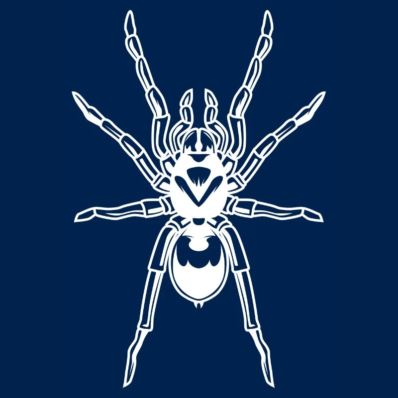 Spider Tarantula Tarantula