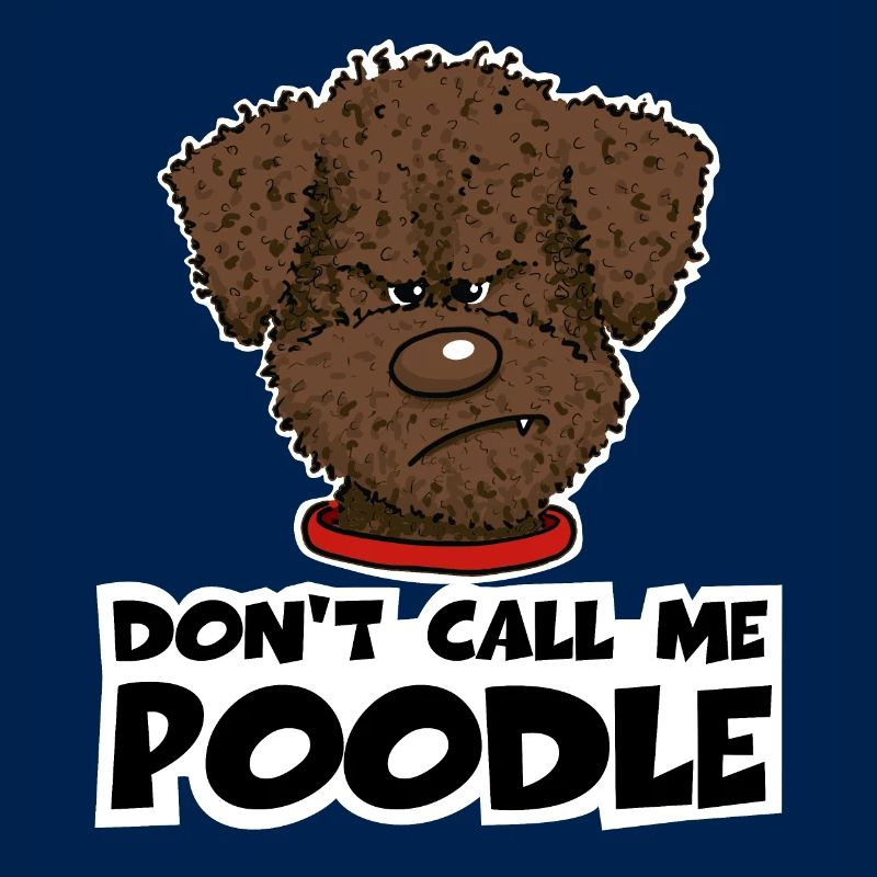 Poodle1 2