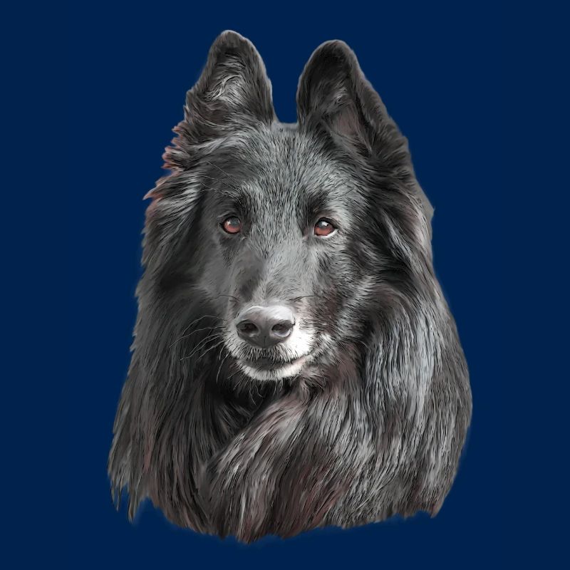 Groenendael Belgian Shepherd
