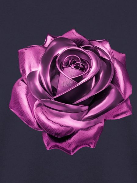 Rose, pink, Metall,,metallisch
