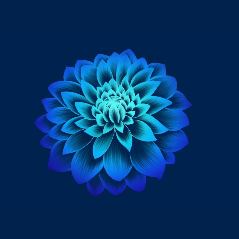 Pfingstrose blau