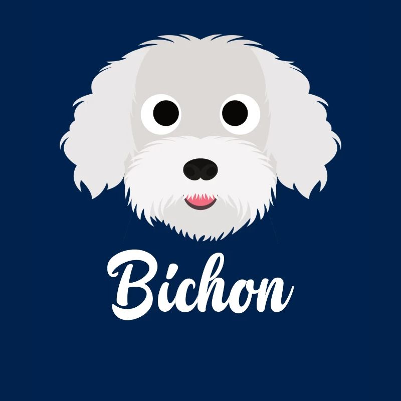 Bichon - Bichon Frise