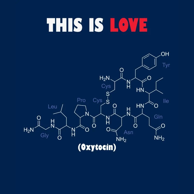 C’est la molécule d’ocytocine d’amour
