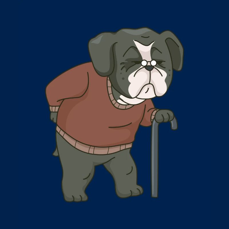 alter Hund