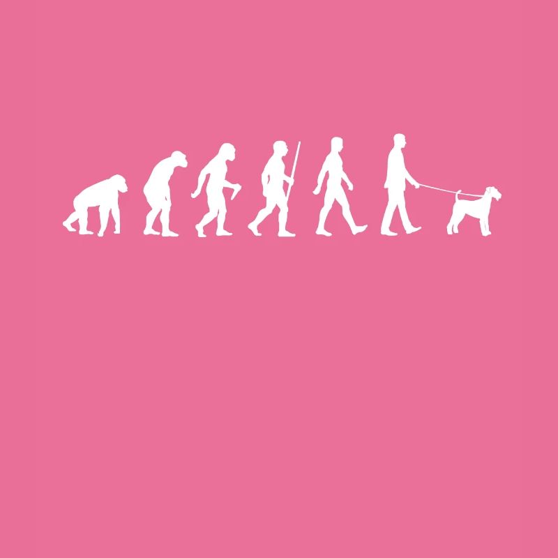 Evolution Airedale Terrier Walker