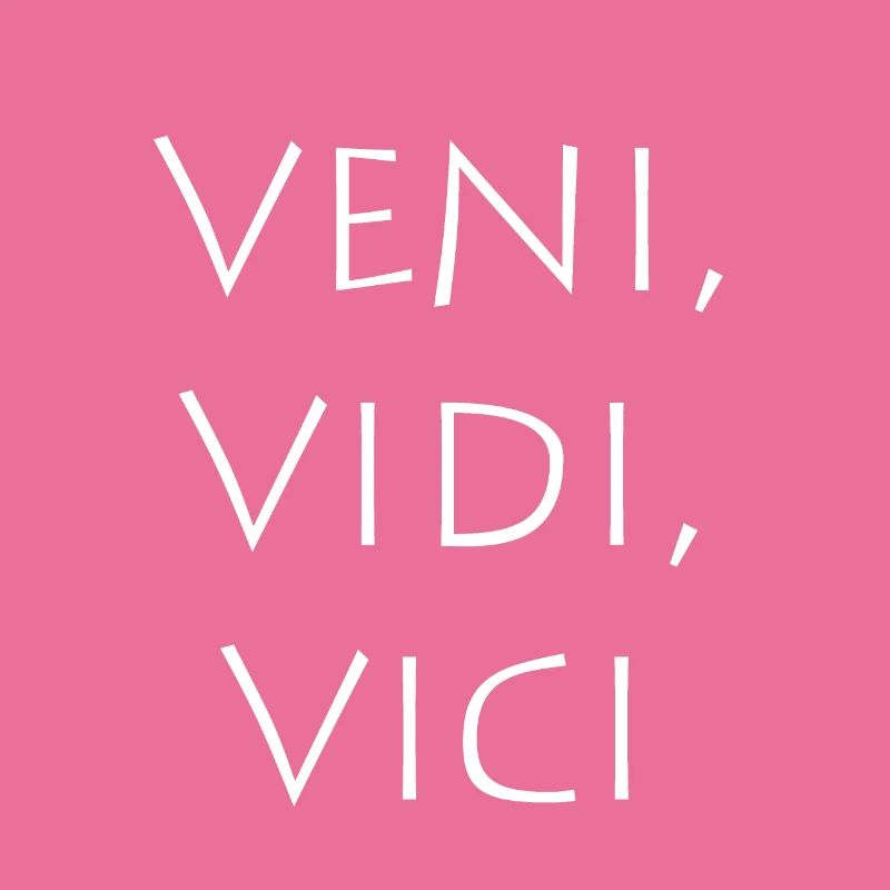 Veni vidi vici